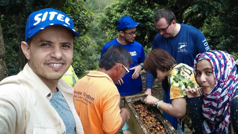 Stingless Bee Project